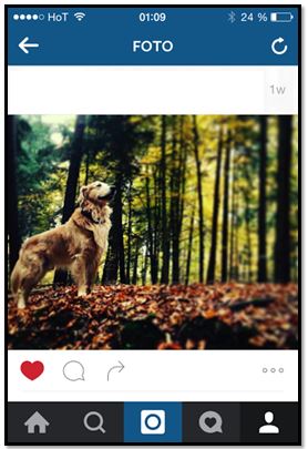 Vom Instagram-Foto zum Ölgemälde als eigene Kunst