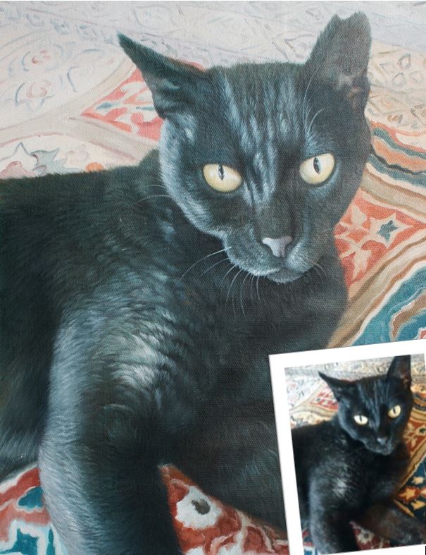 oelgemaelde tierportrait reproduktion katze portraitmalerei